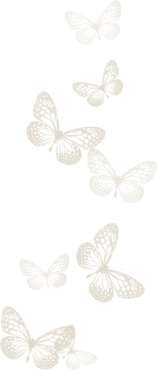 Asset